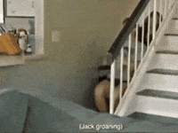 Genius Awareness GIF