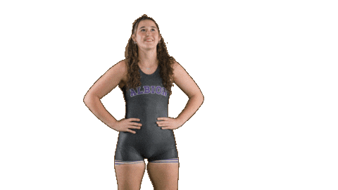 Ppp D3 Sticker by Albion College