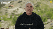 Dogwhisperer GIF by National Geographic Channel