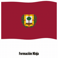 Flag Spain GIF by Formación Ninja