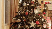 Break In Santa Claus GIF by DrSquatchSoapCo