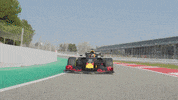 redbullracing france 2019 f1 french GIF