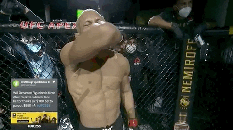 giphy.gif