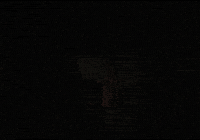 Djpony GIF