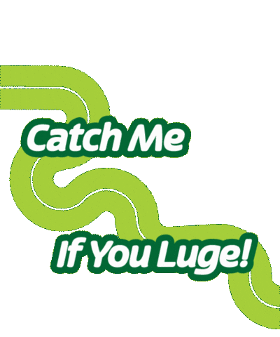 Flag Race Sticker by Skyline Luge Singapore