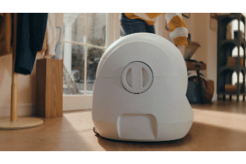 abellee giphyupload GIF
