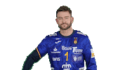 rfebalonmano handball spain espana balonmano Sticker
