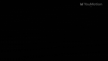 Animated Dynamic Handy Transitions