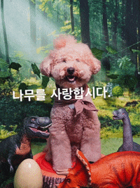 Namu GIF