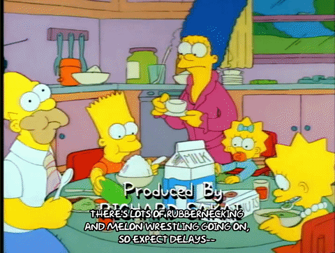 Season 1 Episode 13 GIF by The Simpsons