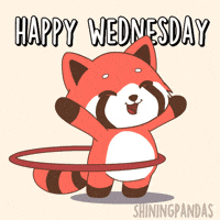 Happy Red Panda GIF