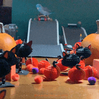 Halloween Skateboard GIF