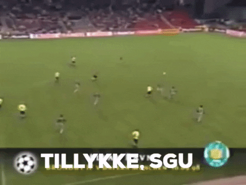 spangsege giphygifmaker bif allaravn GIF