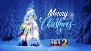 Christmas Atlanta GIF by WSBTV