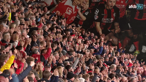 Football Soccer GIF by AFC Bournemouth