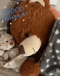 Sleep Bed GIF