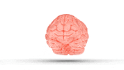 GIF by Matthew Butler