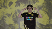 Usl Championship Celebration GIF by New Mexico United