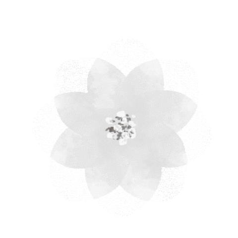 Wendy_design giphyupload camelia 白山茶 轉轉花 Sticker