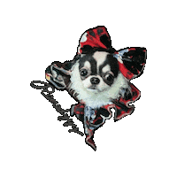 Bm Sticker