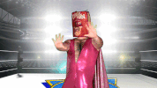stop no GIF by Wrestling Pro Wrestling