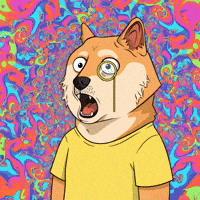 Shocked Shiba Inu GIF by Doge Pound