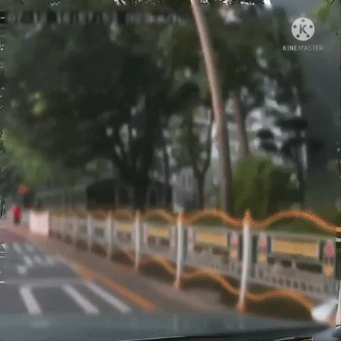 fasdfasf giphyupload GIF