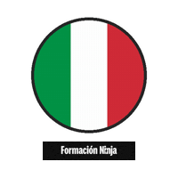 Italy Flag Sticker by Formación Ninja