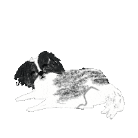 Chicken Dreams Sticker by Andrea Caceres