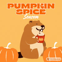 Sipping Pumpkin Spice GIF by WorkBeaver