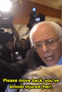 bernie sanders news GIF