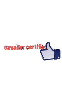 Chevy Cavalier Sticker