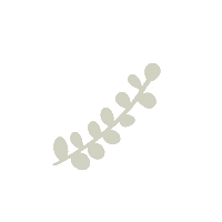 Effects Sticker