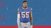 National Football League GIF by Buffalo Bills