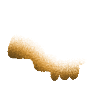 Halloween Skull Sticker by California Psychics