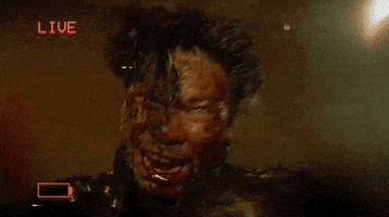Found Footage Vhs GIF by Raven Banner Entertainment