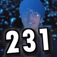 231