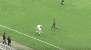 zenit #domenico criscito #maribor GIF by Zenit Football Club