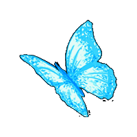 Butterfly Casetify Sticker