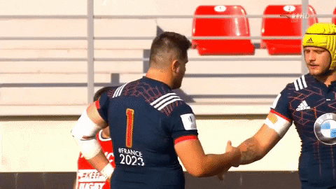 check mickael capelli GIF by FCG Rugby