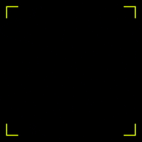 Coderconf GIF by Coder House