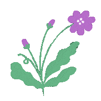 Flower Greeting Sticker