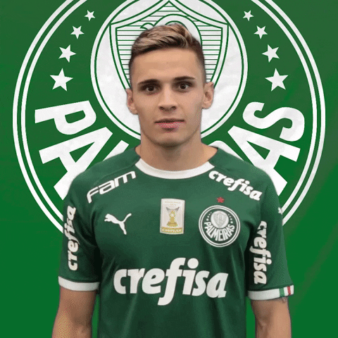 Palmeiras giphyupload soccer no nope GIF