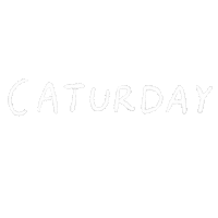 Cat Sticker