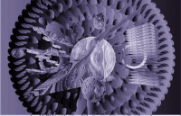 GIF by A.M.T.G. G.G.