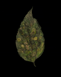 Stop Motion Animation GIF by brittany bartley