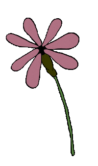 Flower Hollis Sticker by Jamie Wolfe