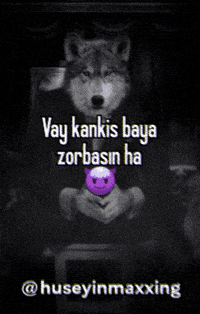 Wolf Turkish GIF
