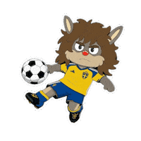 World Cup Football Sticker