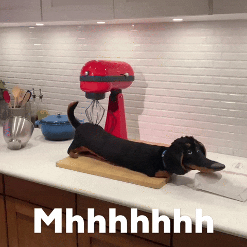 Dog Pet GIF